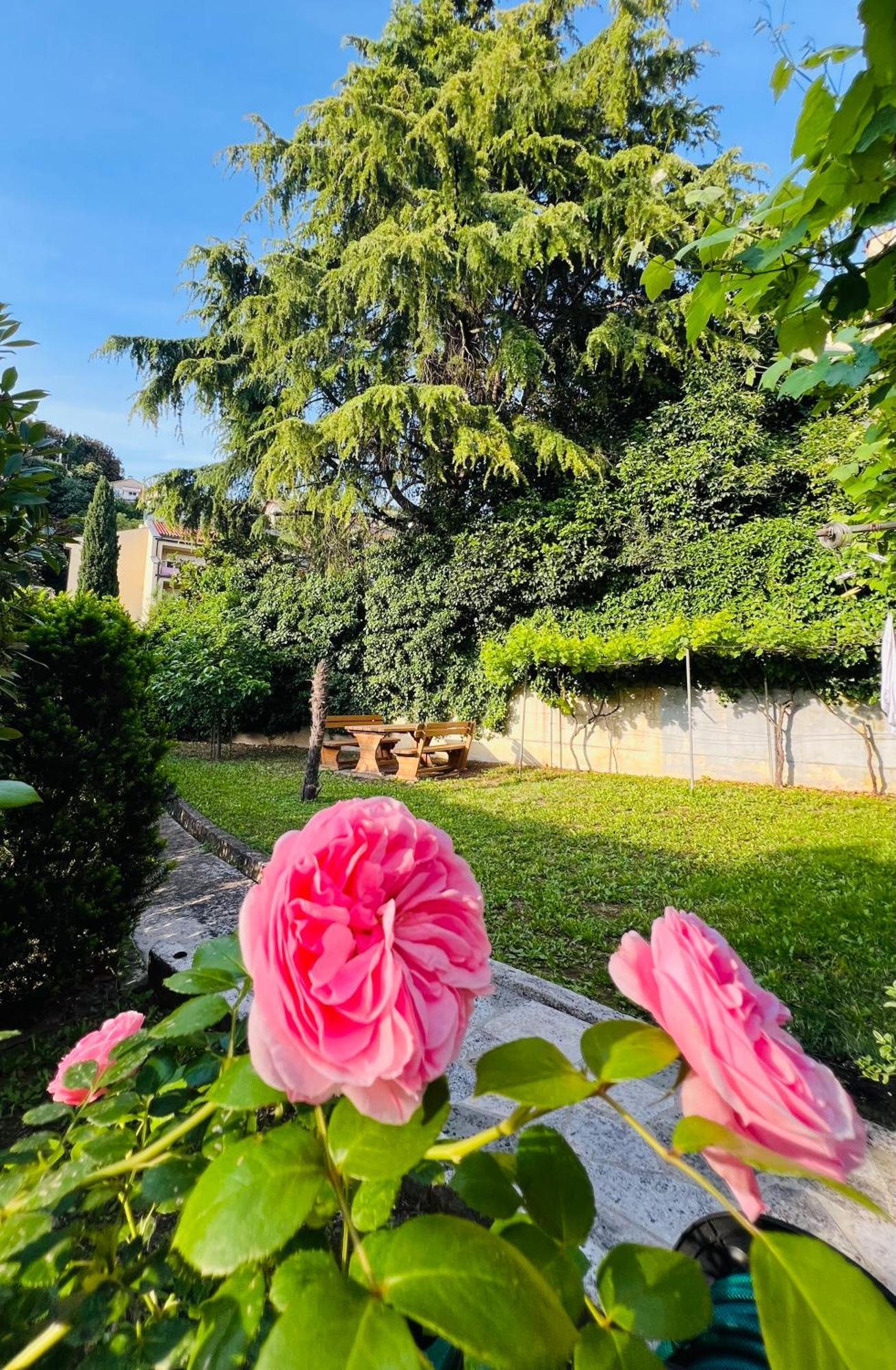 Villa Verde Piran, Authentic Mediterranean Stay Dış mekan fotoğraf